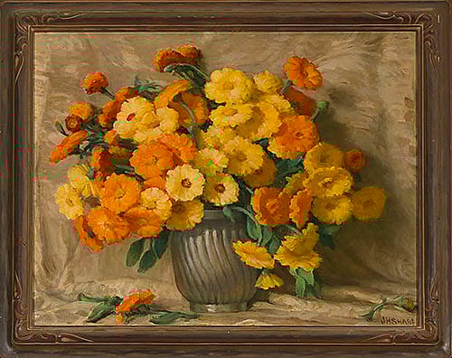 Marigold-Calendula